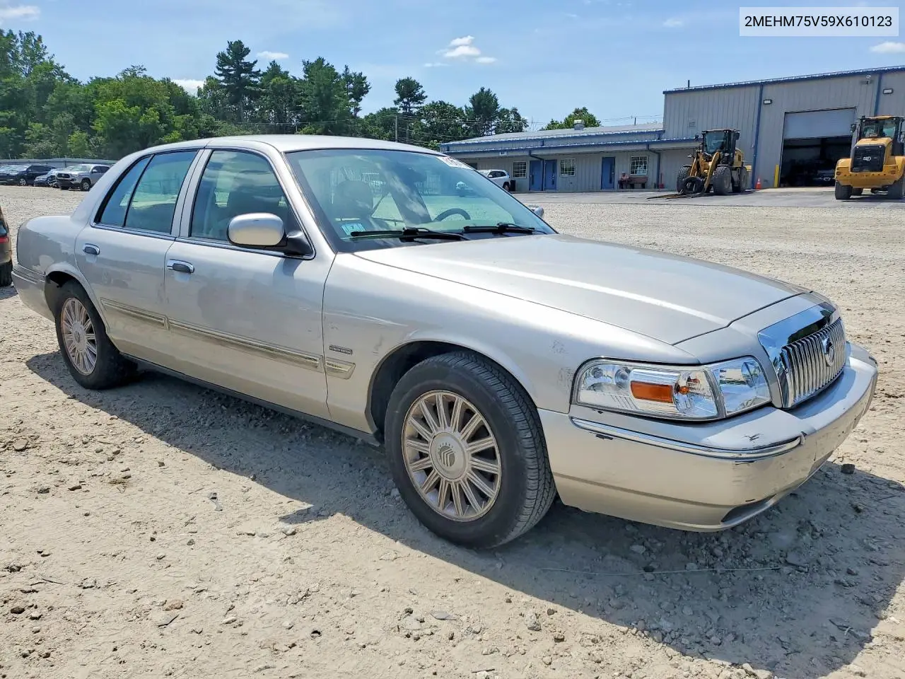 2009 Mercury Grand Marquis Ls VIN: 2MEHM75V59X610123 Lot: 61696416
