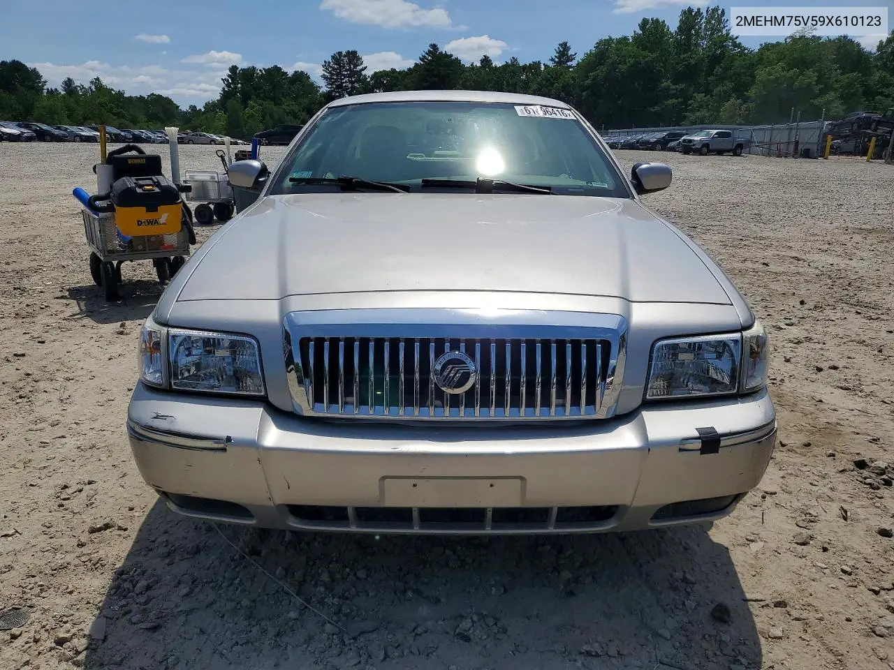 2009 Mercury Grand Marquis Ls VIN: 2MEHM75V59X610123 Lot: 61696416