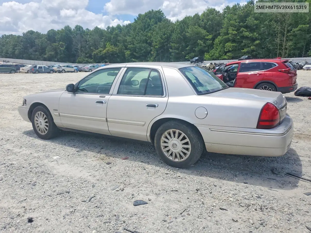 2009 Mercury Grand Marquis Ls VIN: 2MEHM75V39X615319 Lot: 61756126