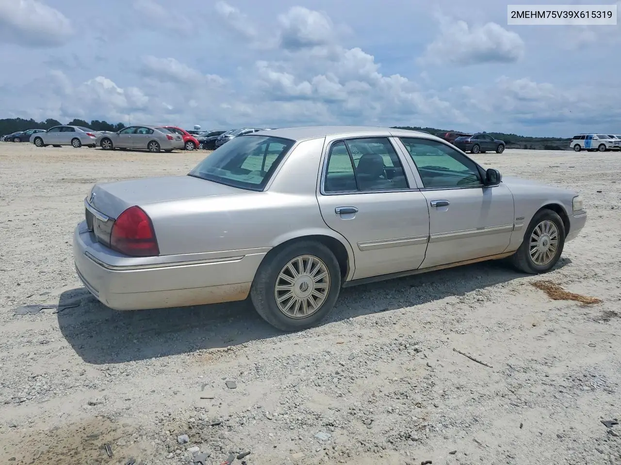 2009 Mercury Grand Marquis Ls VIN: 2MEHM75V39X615319 Lot: 61756126