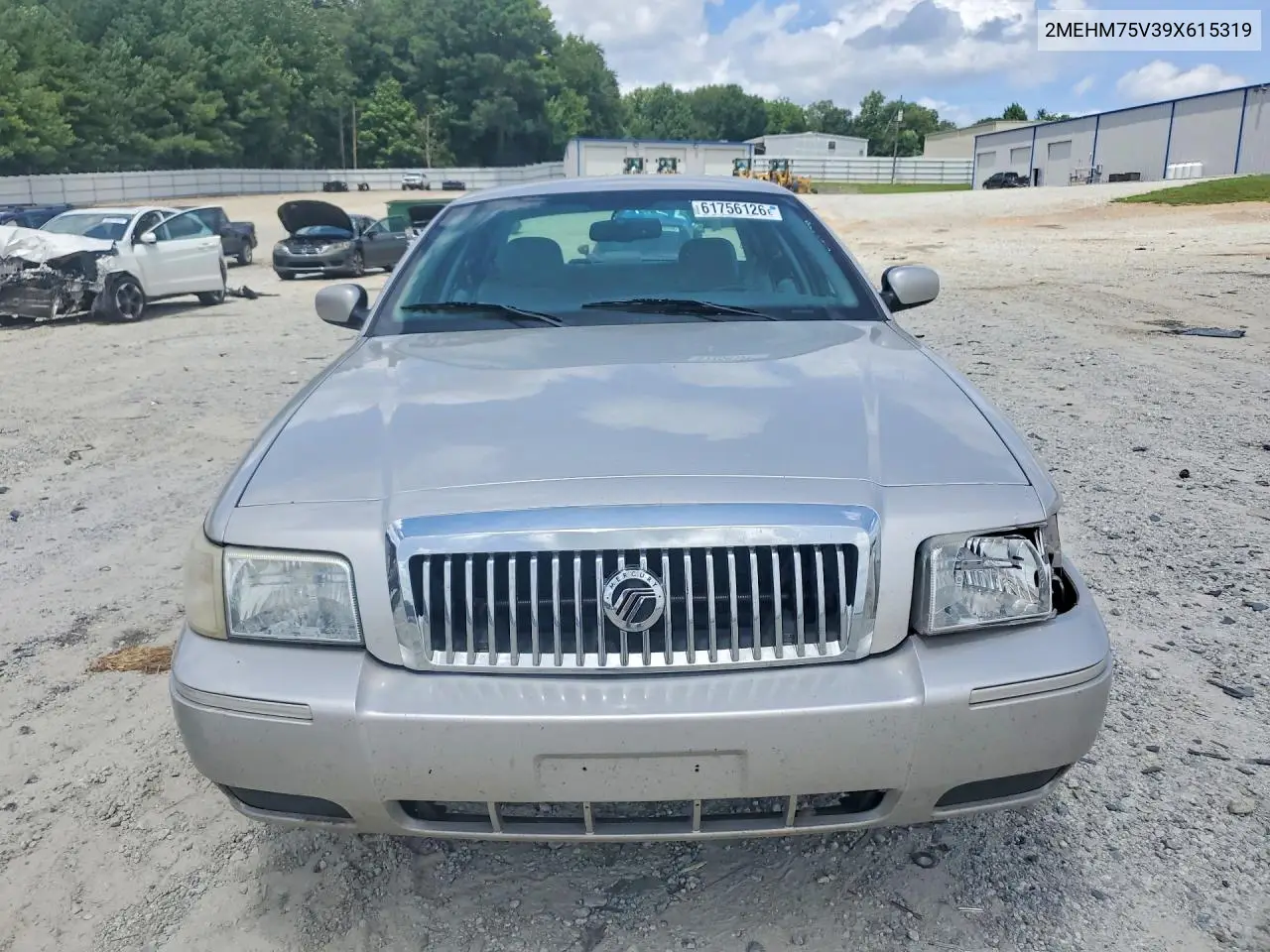 2009 Mercury Grand Marquis Ls VIN: 2MEHM75V39X615319 Lot: 61756126