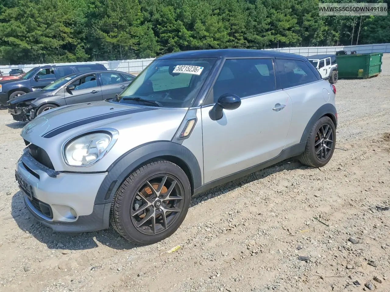 2013 Mini Cooper S Paceman VIN: WMWSS5C50DWN49186 Lot: 58215236