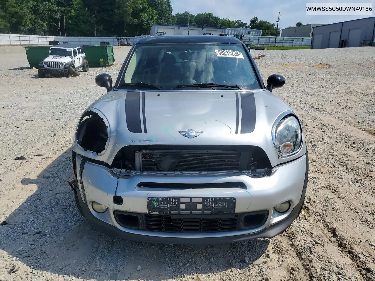 2013 Mini Cooper S Paceman VIN: WMWSS5C50DWN49186 Lot: 58215236