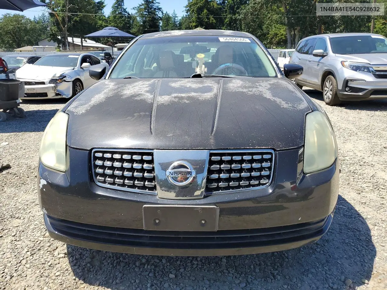 2004 Nissan Maxima 3.5 Se VIN: 1N4BA41E54C928632 Lot: 56404566