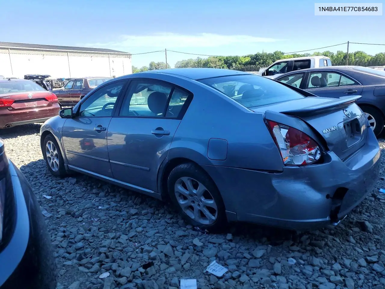 2007 Nissan Maxima 3.5 Se VIN: 1N4BA41E77C854683 Lot: 55575636