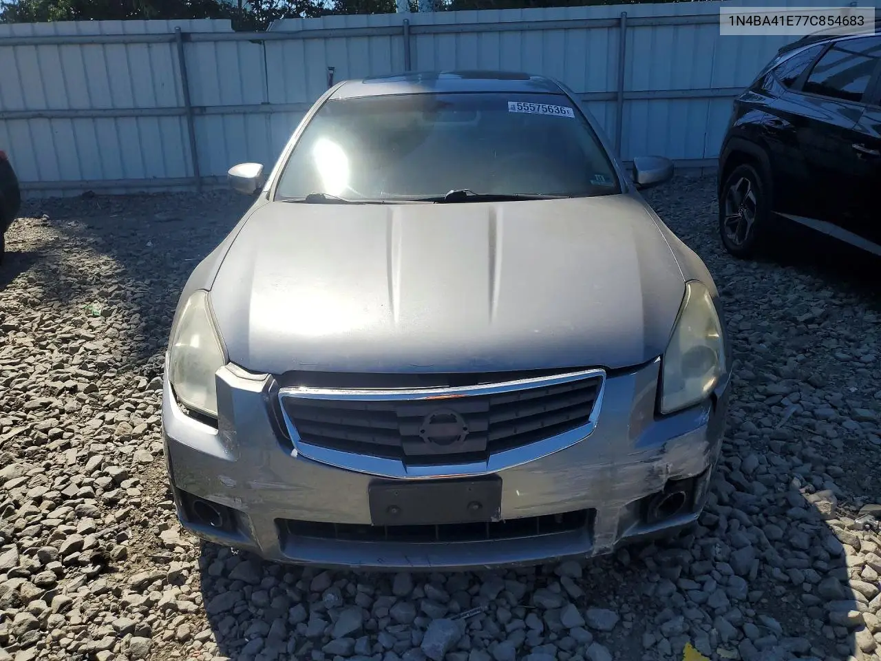 2007 Nissan Maxima 3.5 Se VIN: 1N4BA41E77C854683 Lot: 55575636