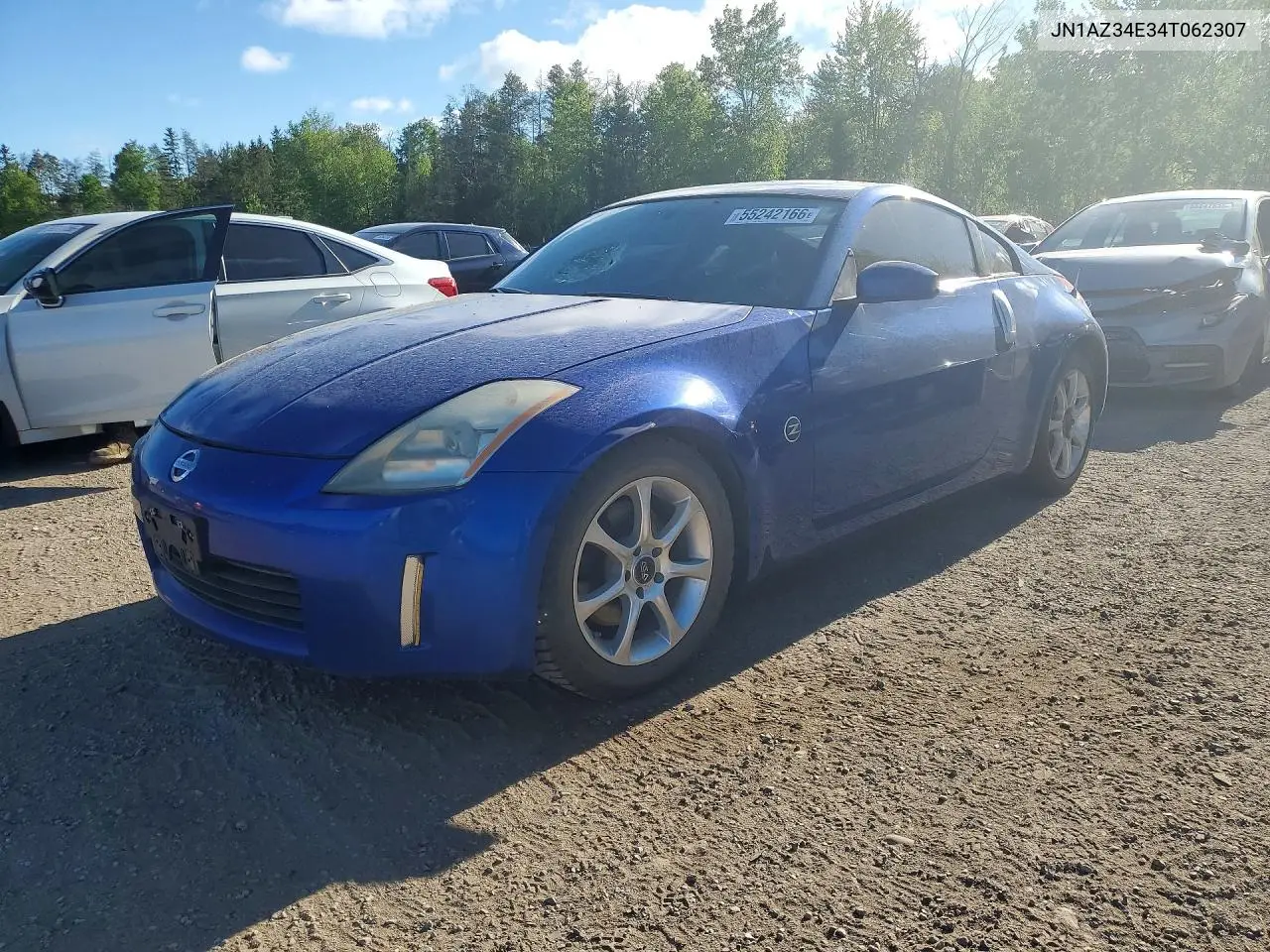 2004 Nissan 350Z Coupe VIN: JN1AZ34E34T062307 Lot: 55242166
