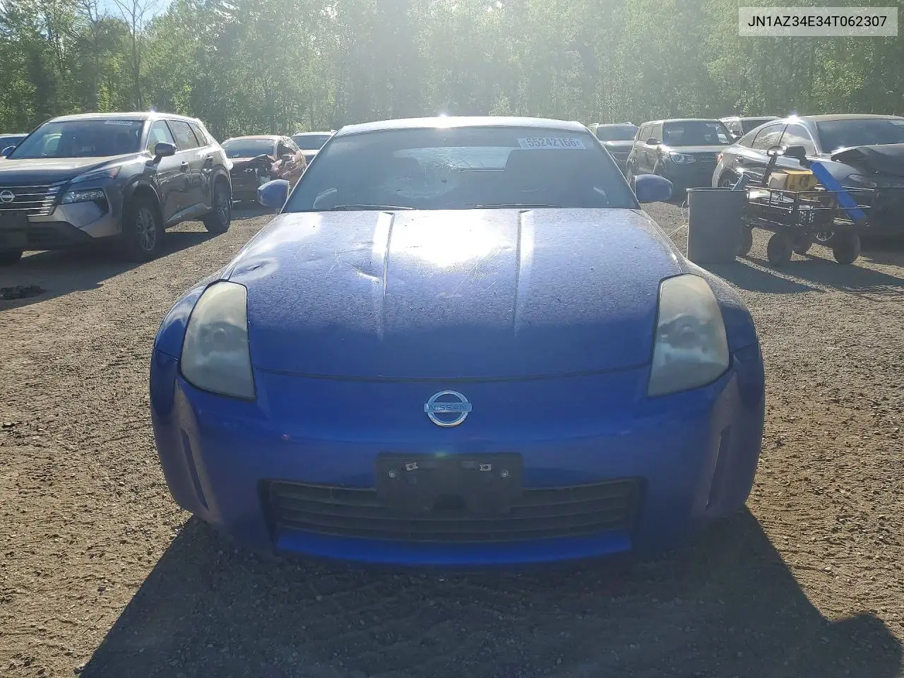 2004 Nissan 350Z Coupe VIN: JN1AZ34E34T062307 Lot: 55242166