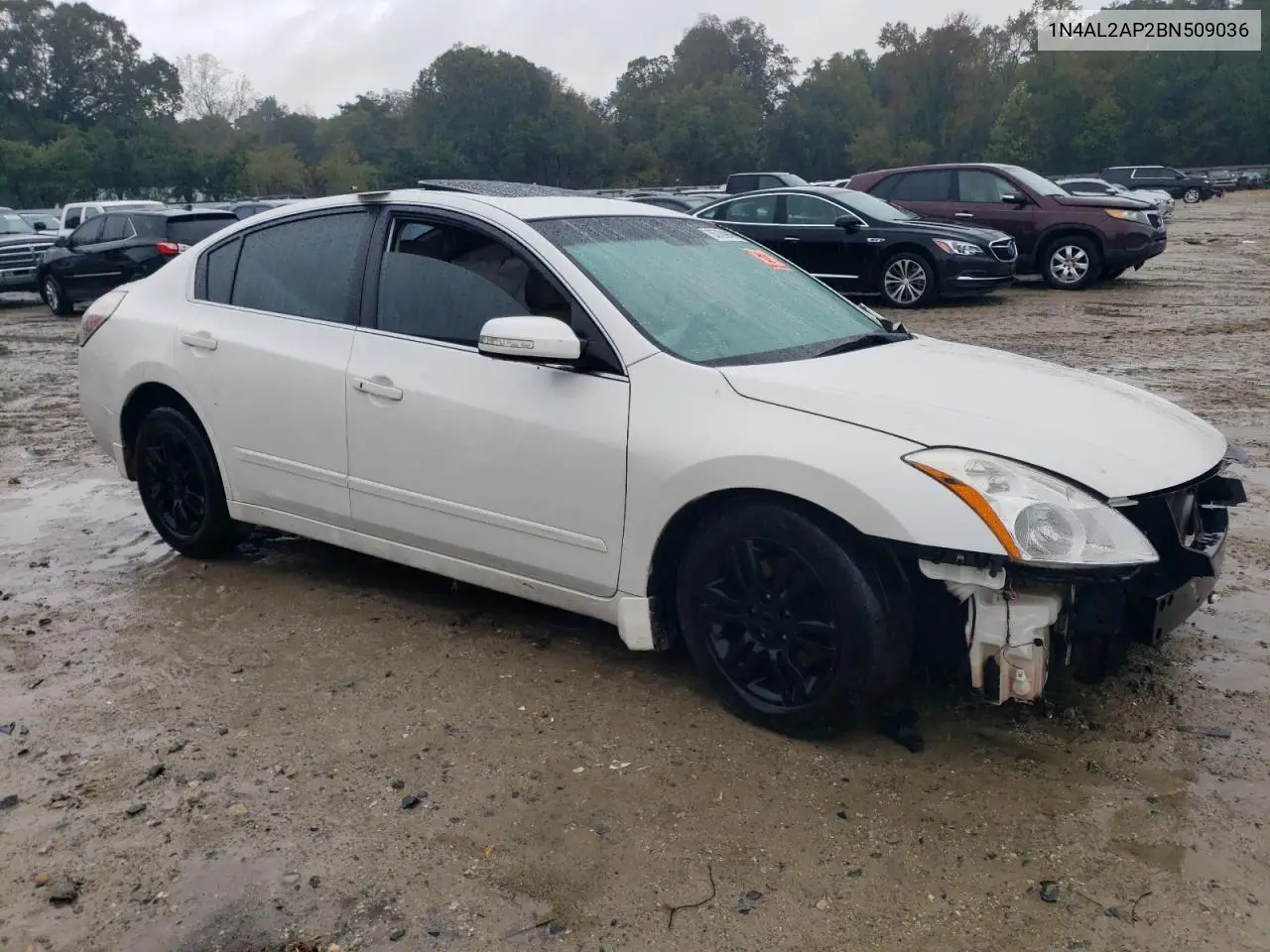1N4AL2AP2BN509036 2011 Nissan Altima Base