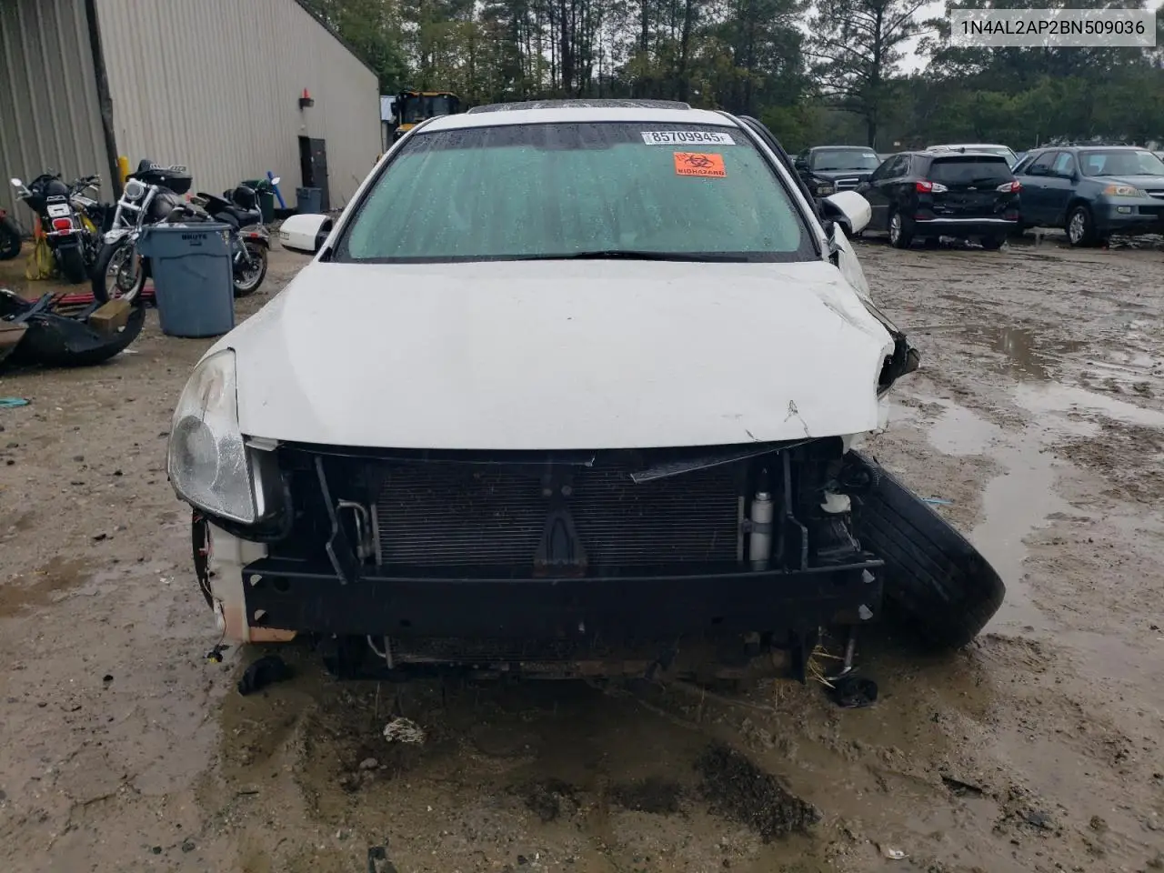 1N4AL2AP2BN509036 2011 Nissan Altima Base