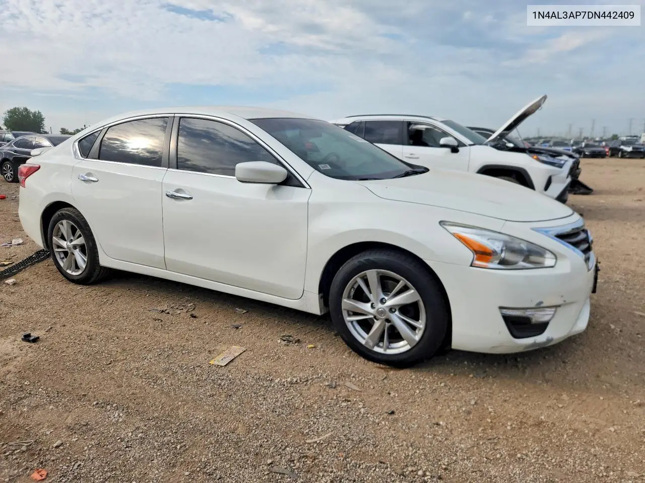 2013 Nissan Altima 2.5 VIN: 1N4AL3AP7DN442409 Lot: 60320796