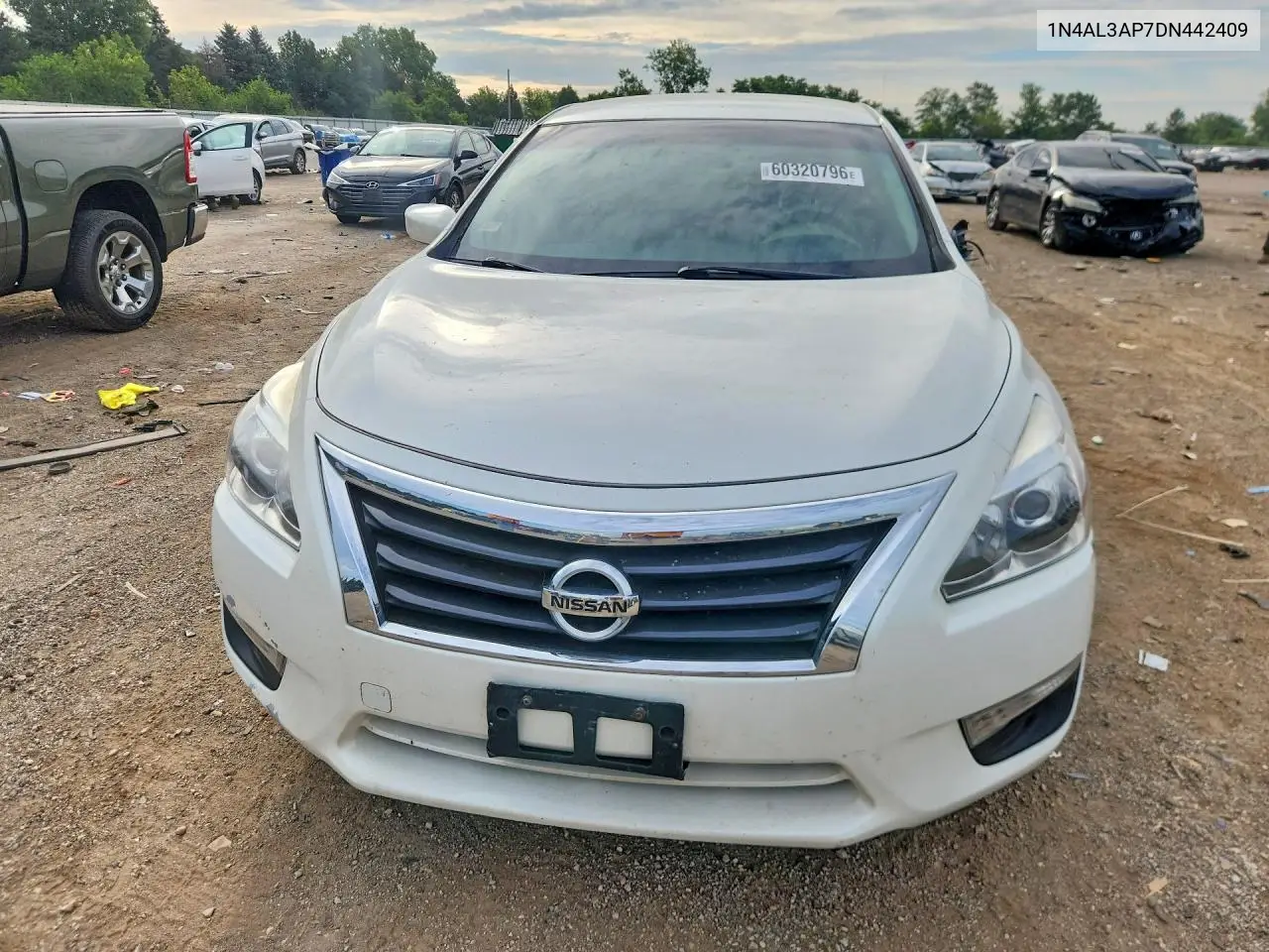2013 Nissan Altima 2.5 VIN: 1N4AL3AP7DN442409 Lot: 60320796
