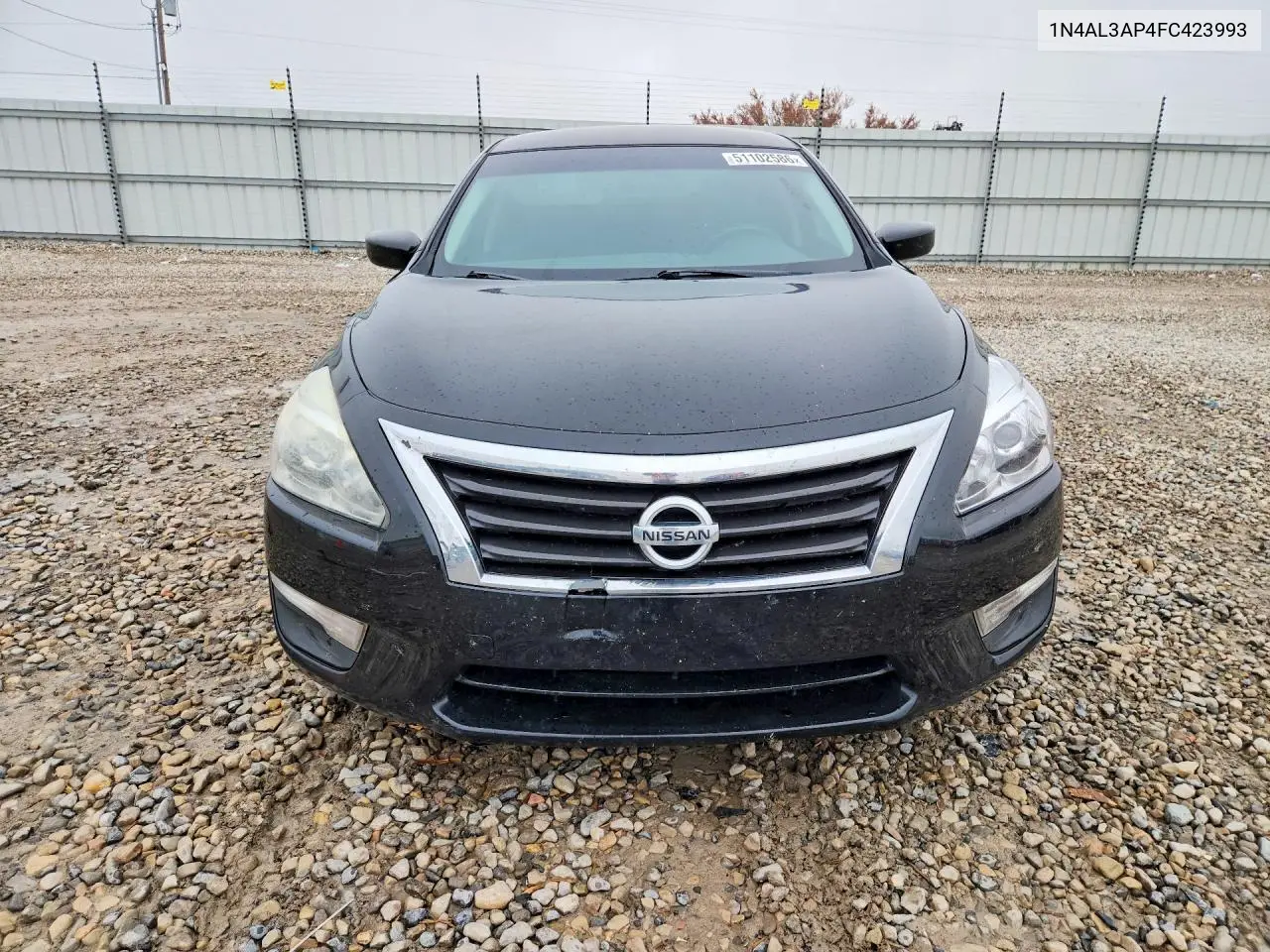 V (L33)