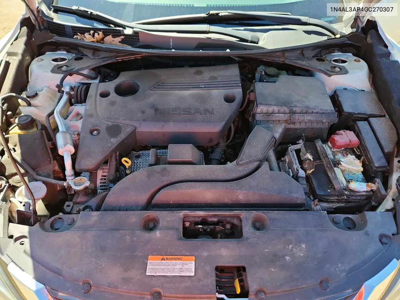 V (L33)