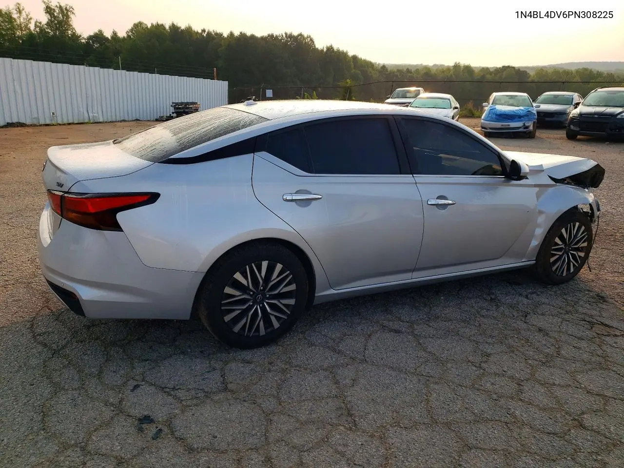 2023 Nissan Altima Sv VIN: 1N4BL4DV6PN308225 Lot: 60768676