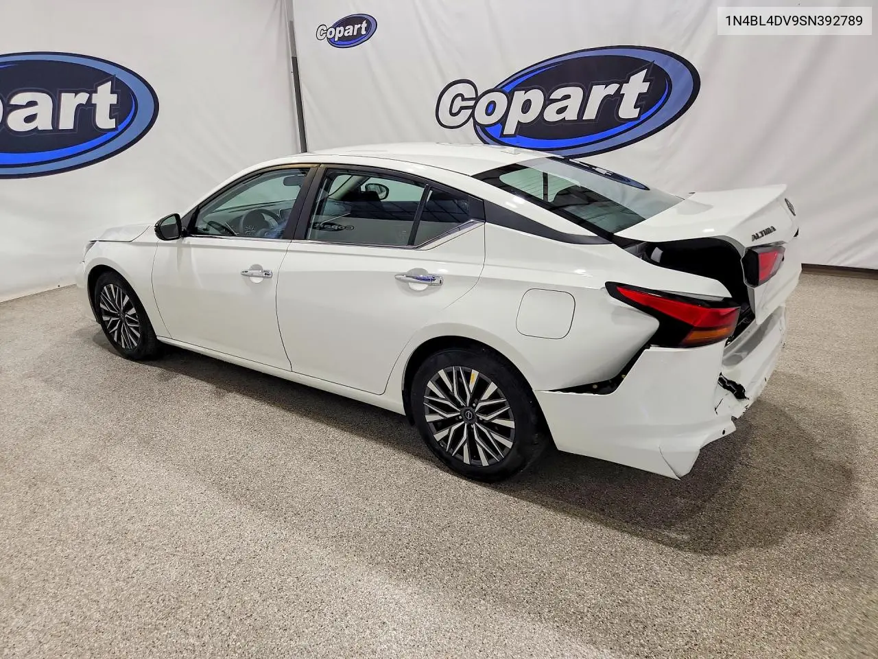 2025 Nissan Altima Sv VIN: 1N4BL4DV9SN392789 Lot: 60483386