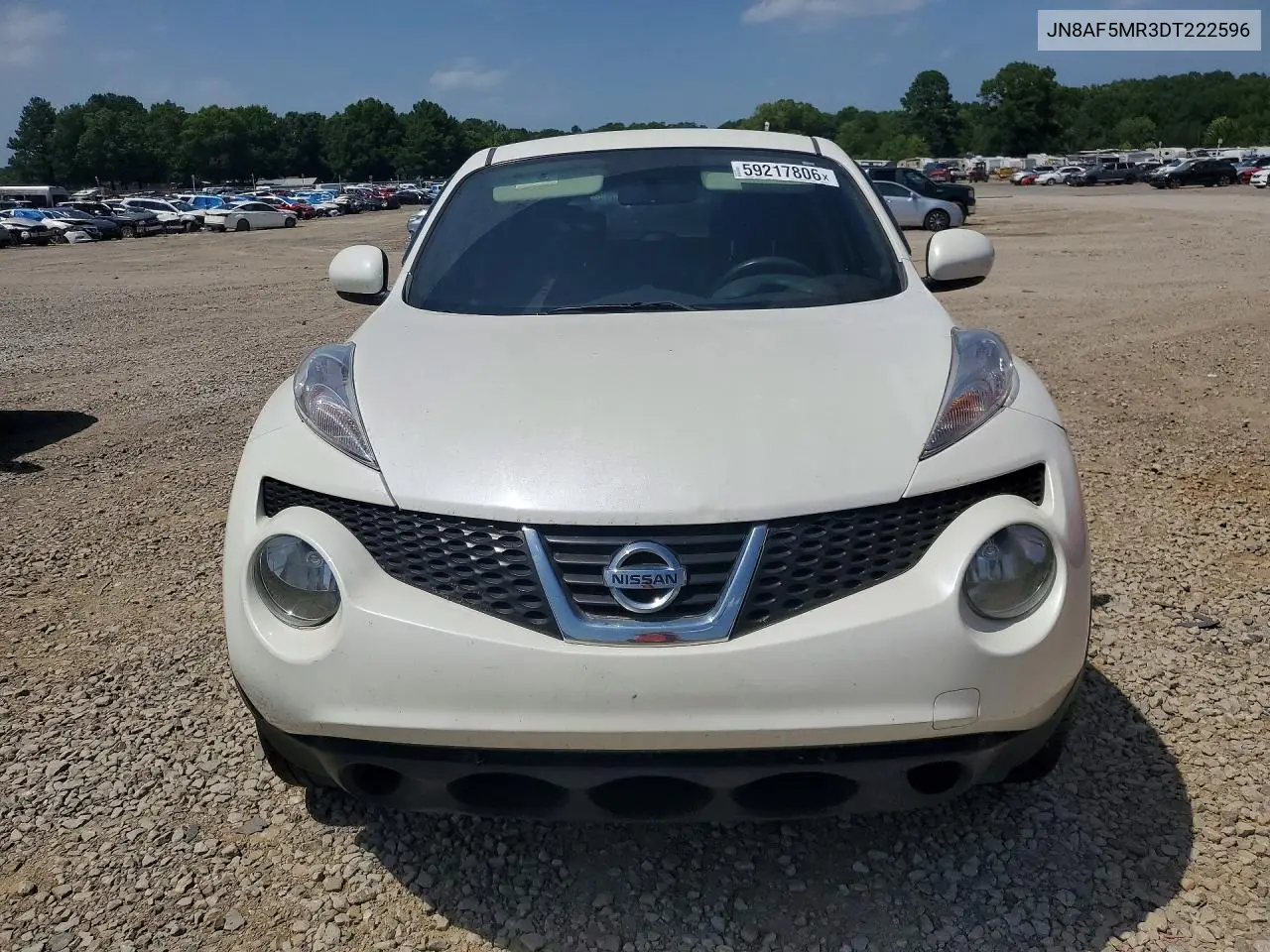 2013 Nissan Juke S VIN: JN8AF5MR3DT222596 Lot: 59217806