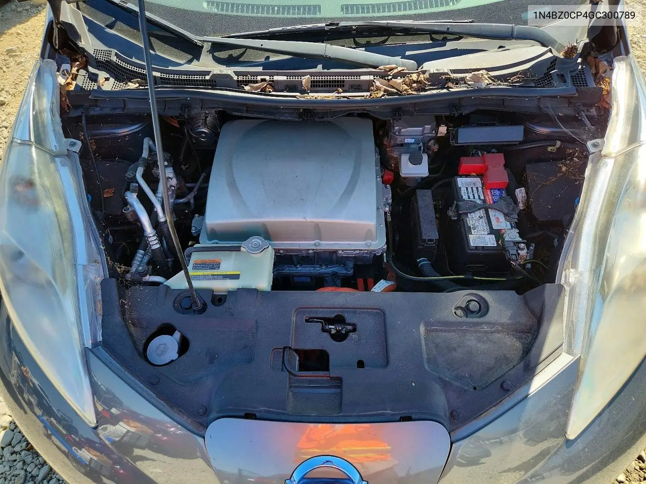 2016 Nissan Leaf Sv VIN: 1N4BZ0CP4GC300789 Lot: 57670526
