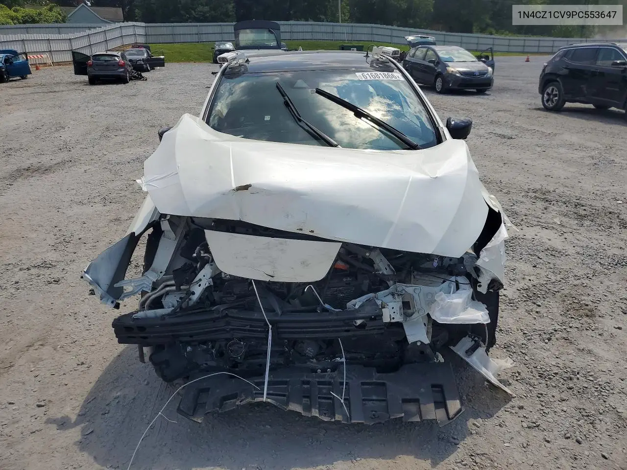 2023 Nissan Leaf Sv Plus VIN: 1N4CZ1CV9PC553647 Lot: 61681866