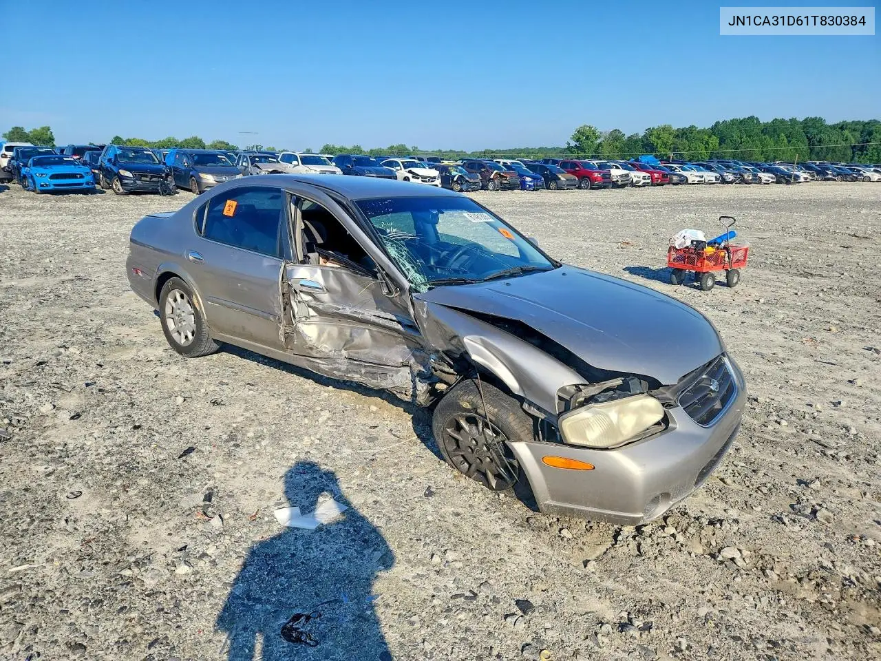 2001 Nissan Maxima Gxe VIN: JN1CA31D61T830384 Lot: 61481826