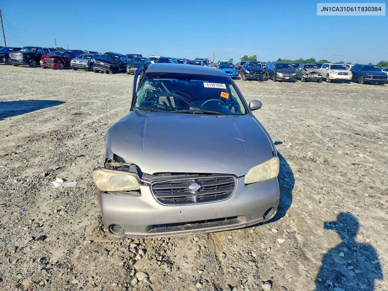 2001 Nissan Maxima Gxe VIN: JN1CA31D61T830384 Lot: 61481826