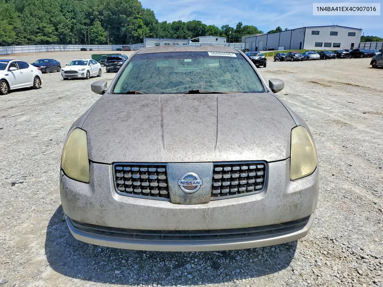 2004 Nissan Maxima 3.5 Se VIN: 1N4BA41EX4C907016 Lot: 56800696