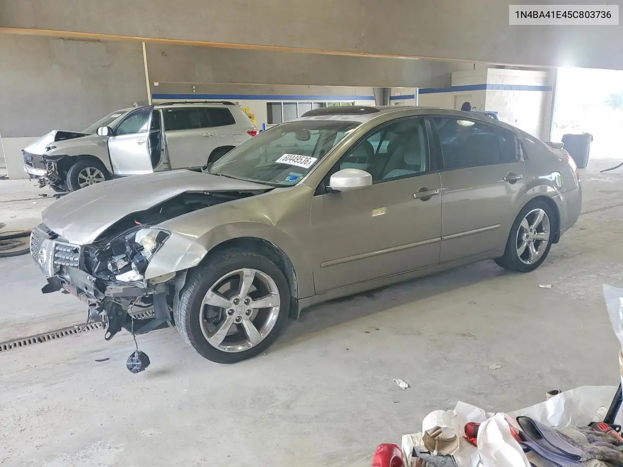 2005 Nissan Maxima 3.5 Se VIN: 1N4BA41E45C803736 Lot: 60449536