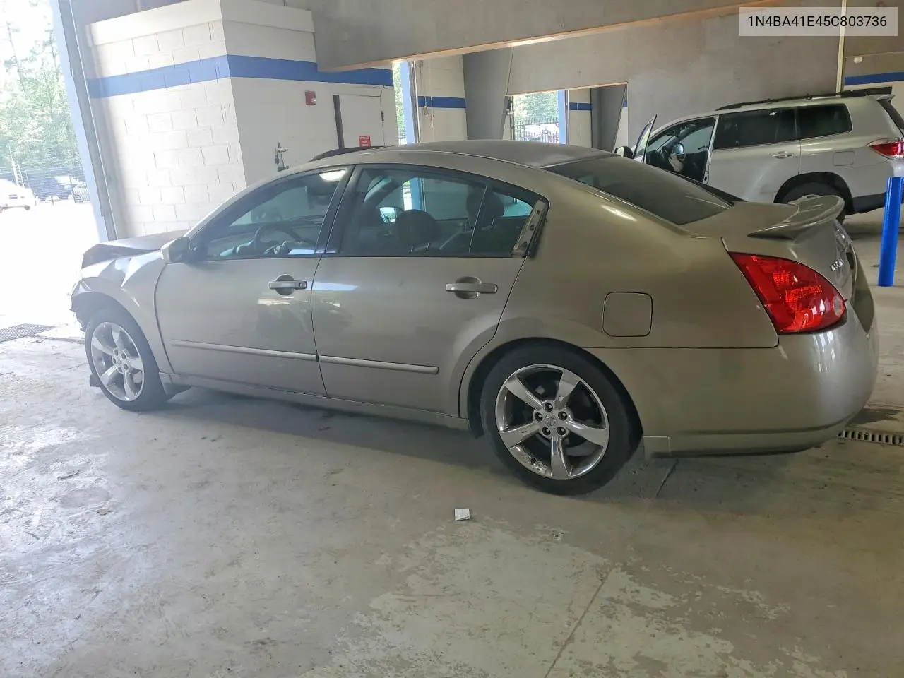2005 Nissan Maxima 3.5 Se VIN: 1N4BA41E45C803736 Lot: 60449536