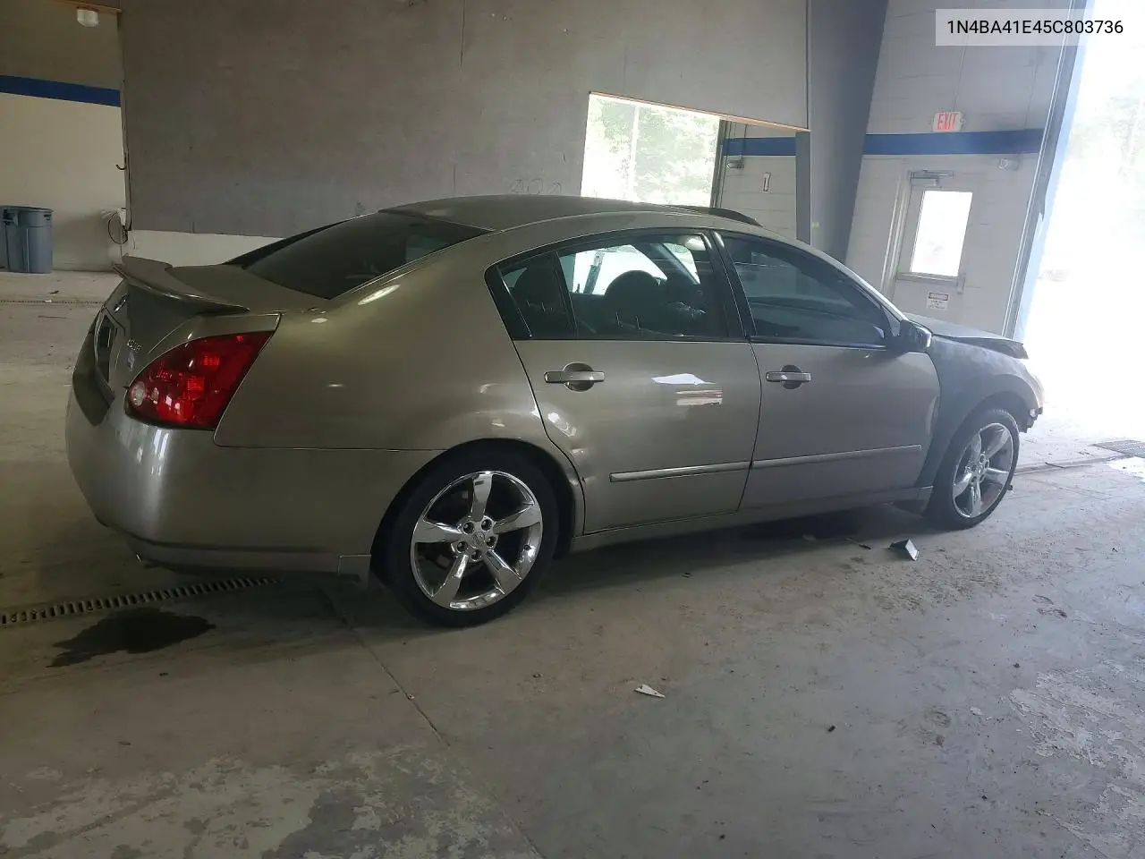2005 Nissan Maxima 3.5 Se VIN: 1N4BA41E45C803736 Lot: 60449536