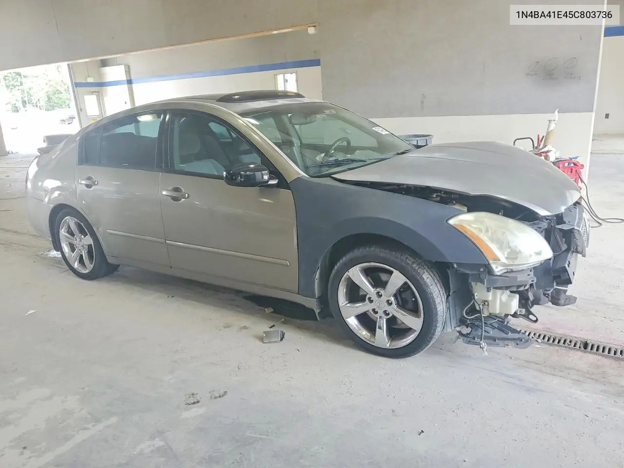 2005 Nissan Maxima 3.5 Se VIN: 1N4BA41E45C803736 Lot: 60449536