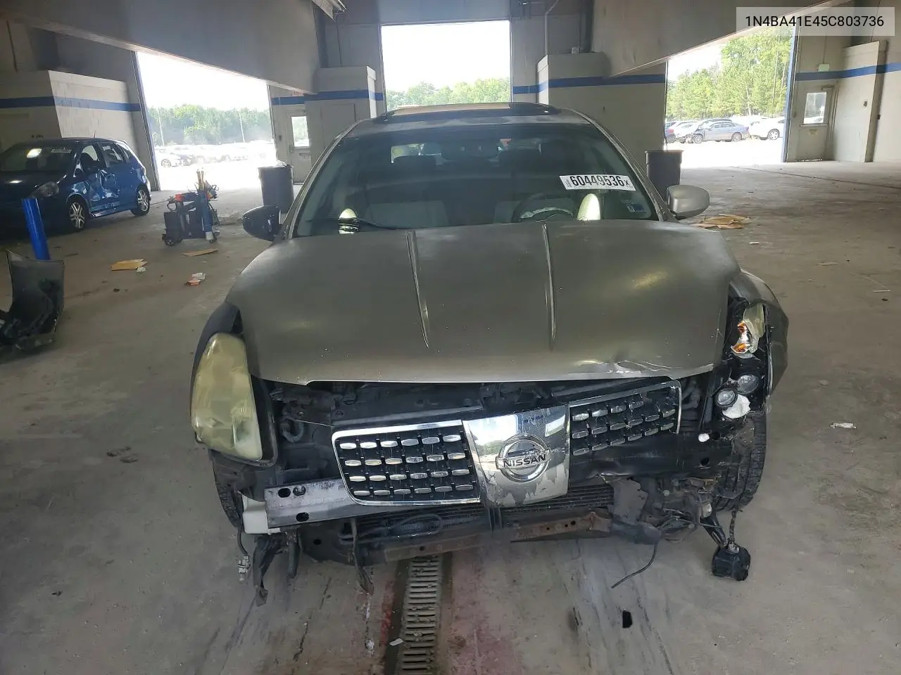 2005 Nissan Maxima 3.5 Se VIN: 1N4BA41E45C803736 Lot: 60449536