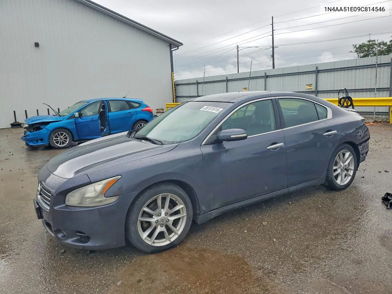 2009 Nissan Maxima 3.5 S VIN: 1N4AA51E09C814546 Lot: 56181616