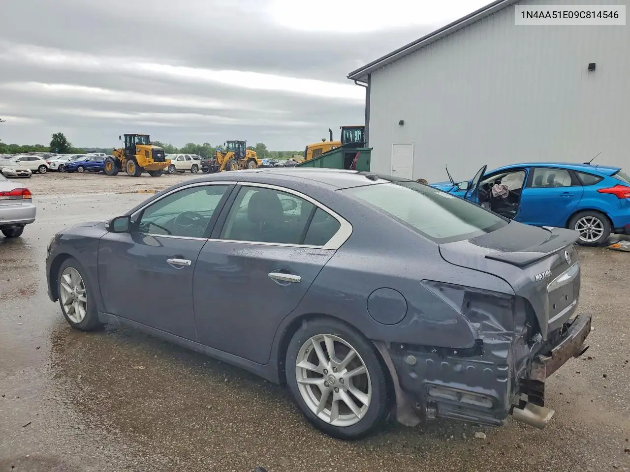 2009 Nissan Maxima 3.5 S VIN: 1N4AA51E09C814546 Lot: 56181616