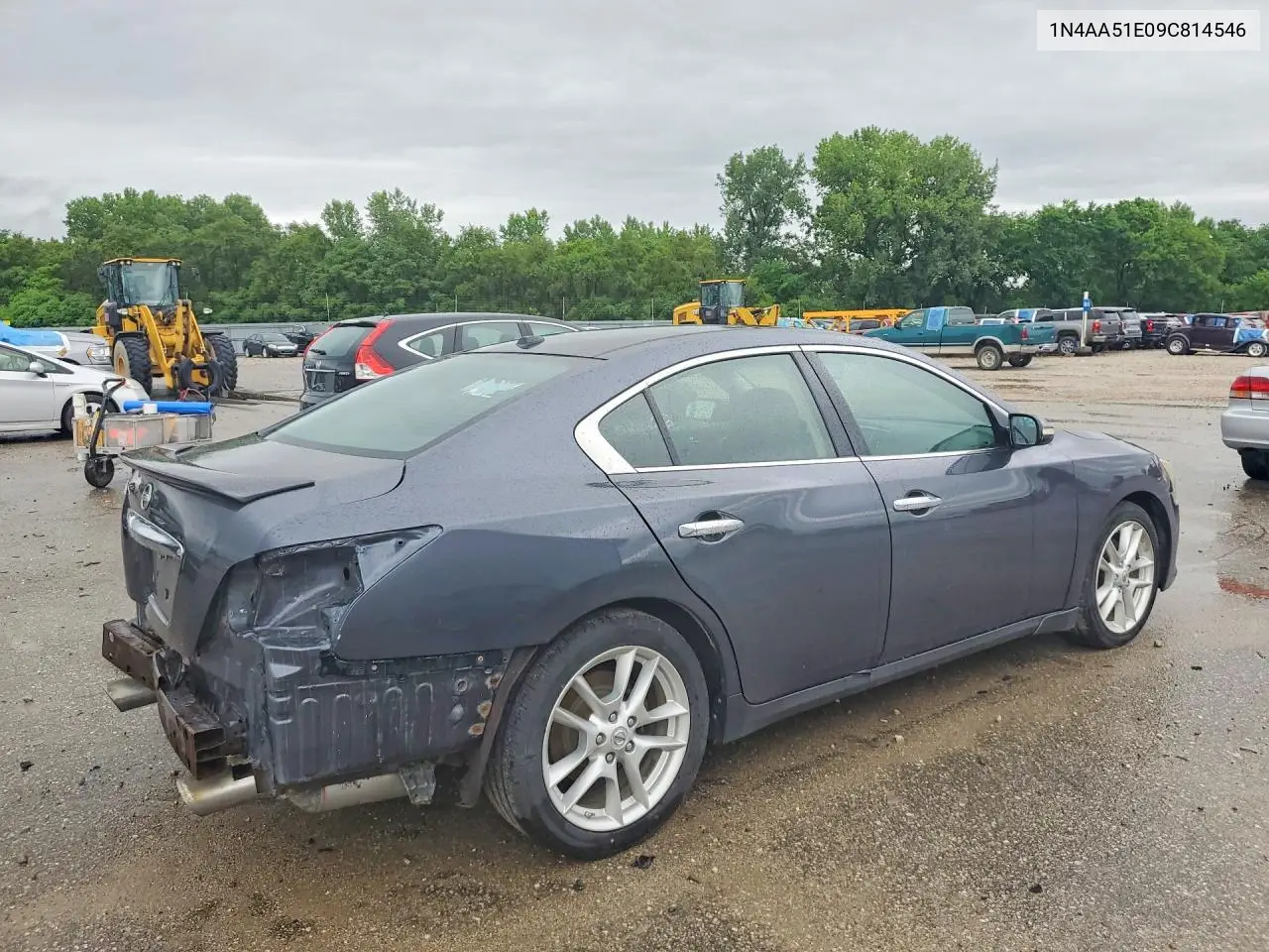2009 Nissan Maxima 3.5 S VIN: 1N4AA51E09C814546 Lot: 56181616