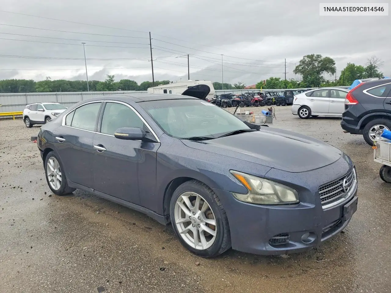 2009 Nissan Maxima 3.5 S VIN: 1N4AA51E09C814546 Lot: 56181616