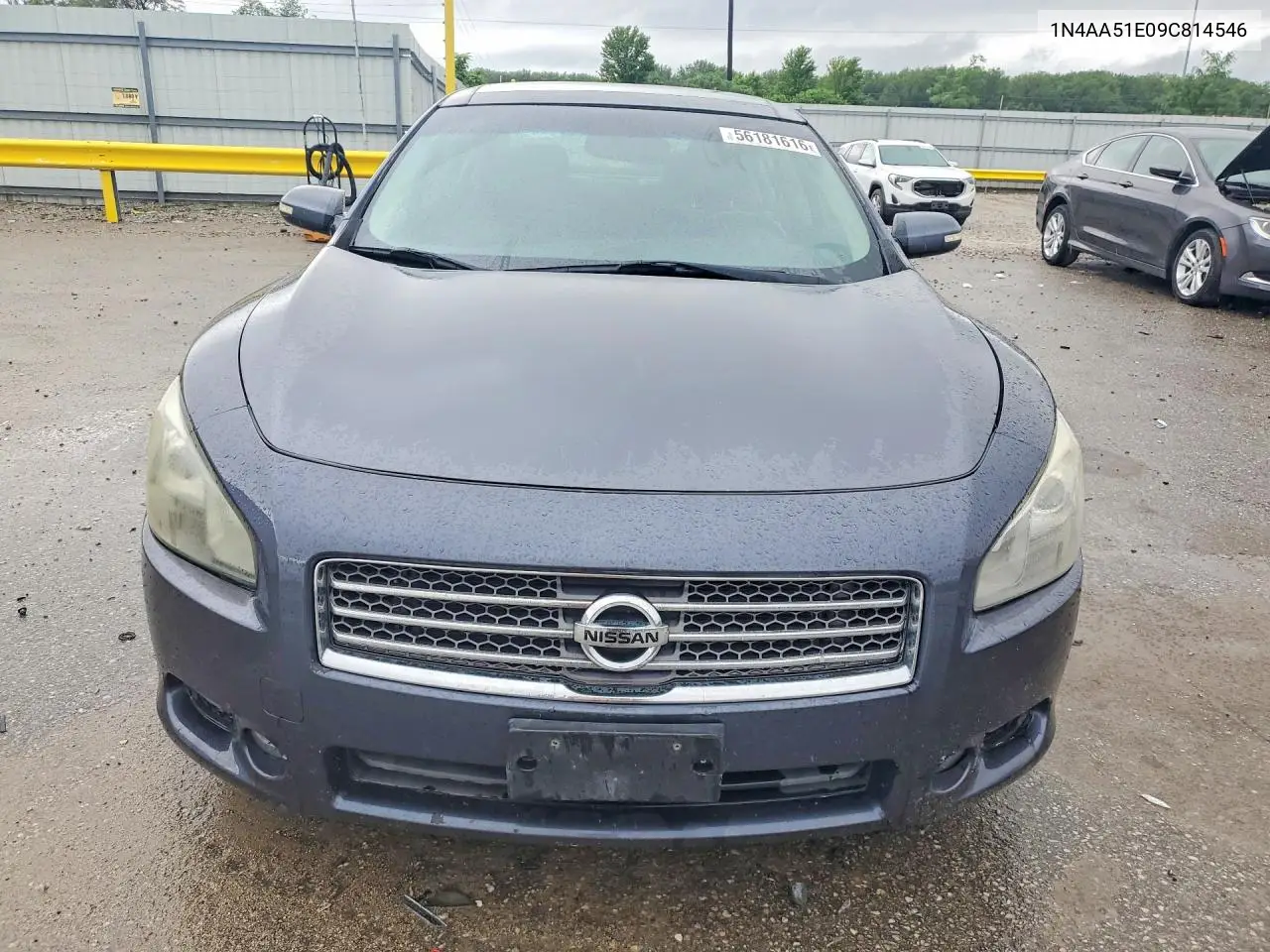 2009 Nissan Maxima 3.5 S VIN: 1N4AA51E09C814546 Lot: 56181616