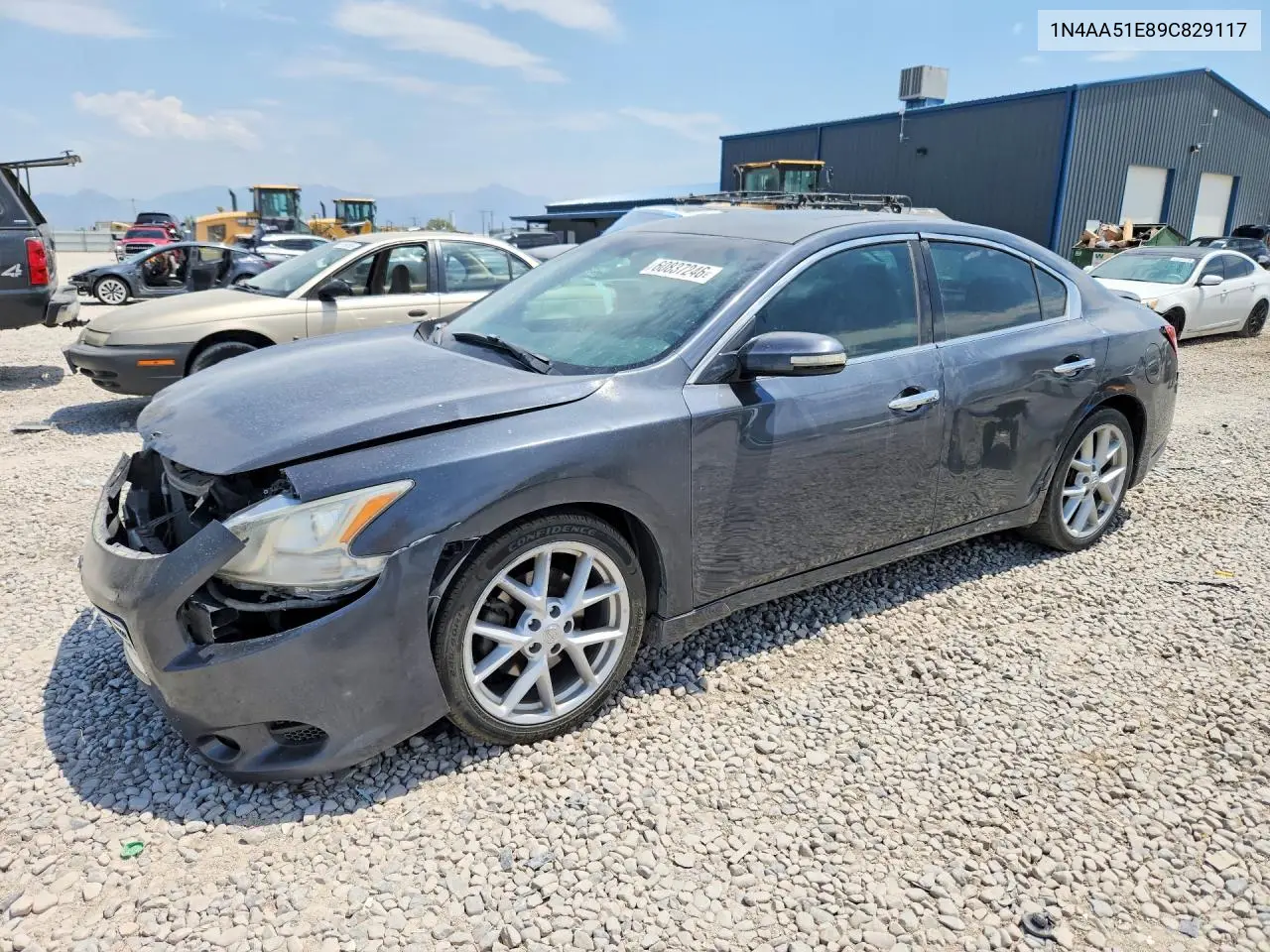 2009 Nissan Maxima 3.5 S VIN: 1N4AA51E89C829117 Lot: 60837246