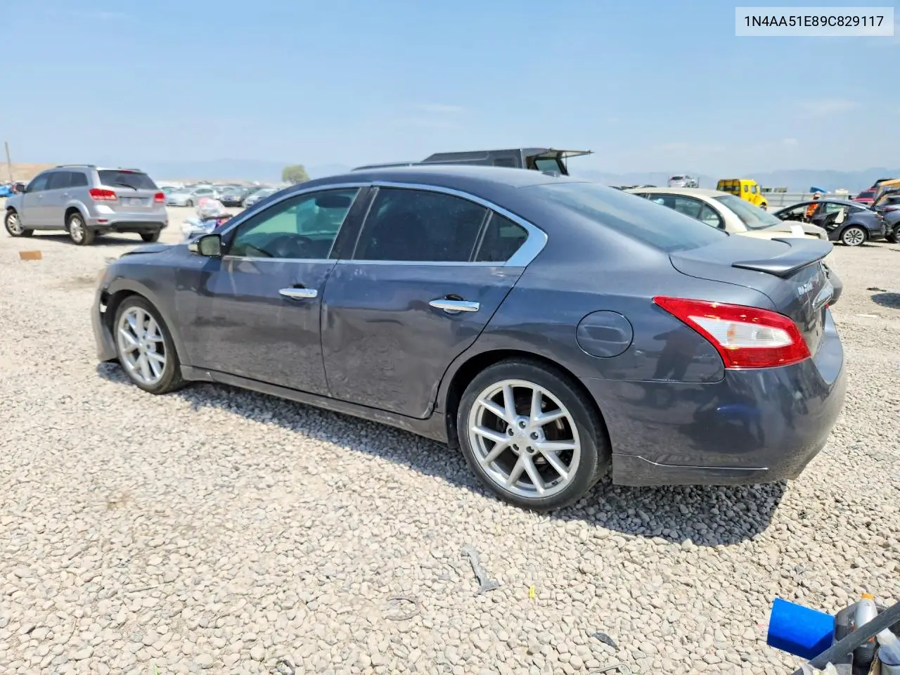 2009 Nissan Maxima 3.5 S VIN: 1N4AA51E89C829117 Lot: 60837246