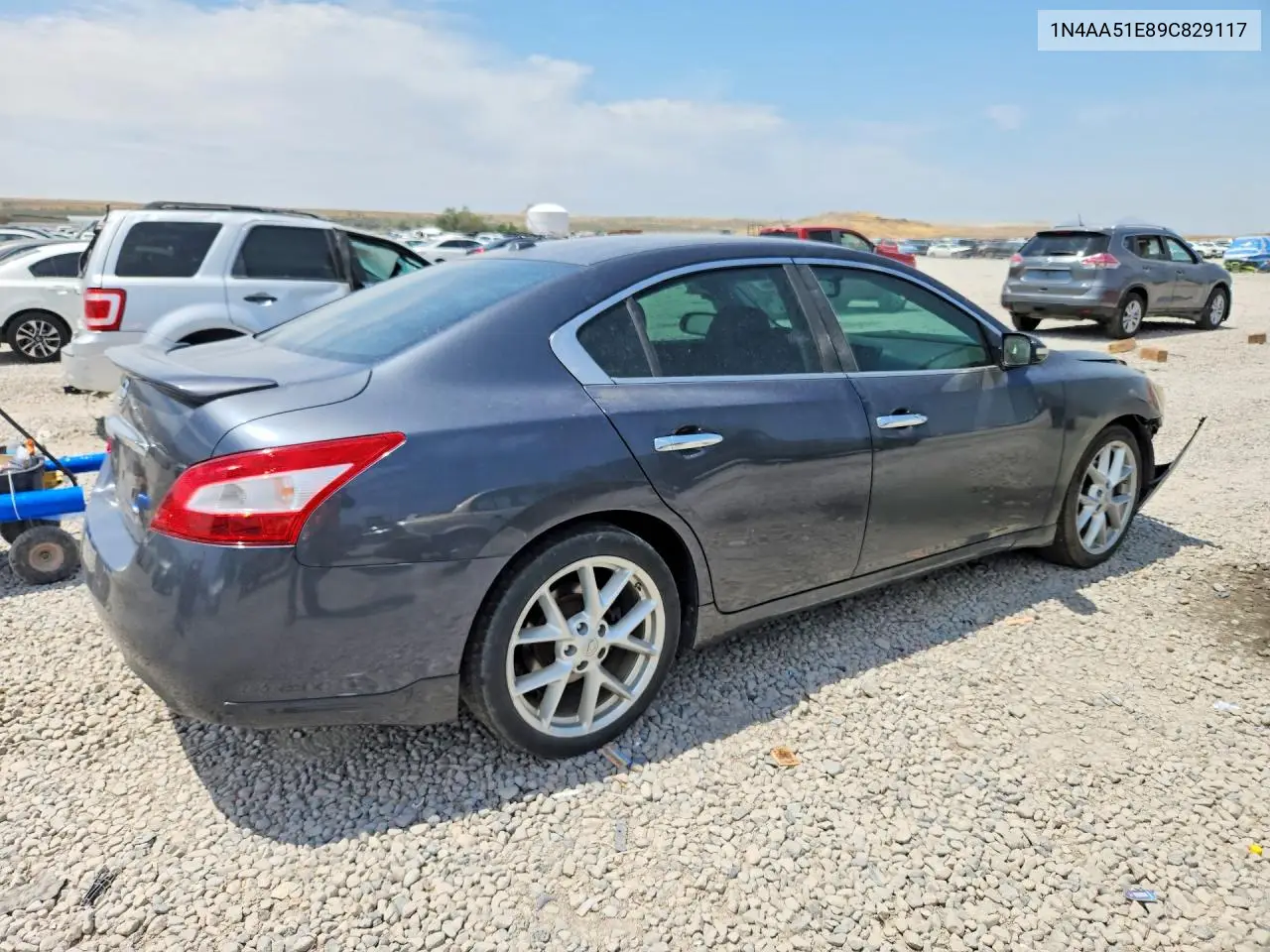 2009 Nissan Maxima 3.5 S VIN: 1N4AA51E89C829117 Lot: 60837246