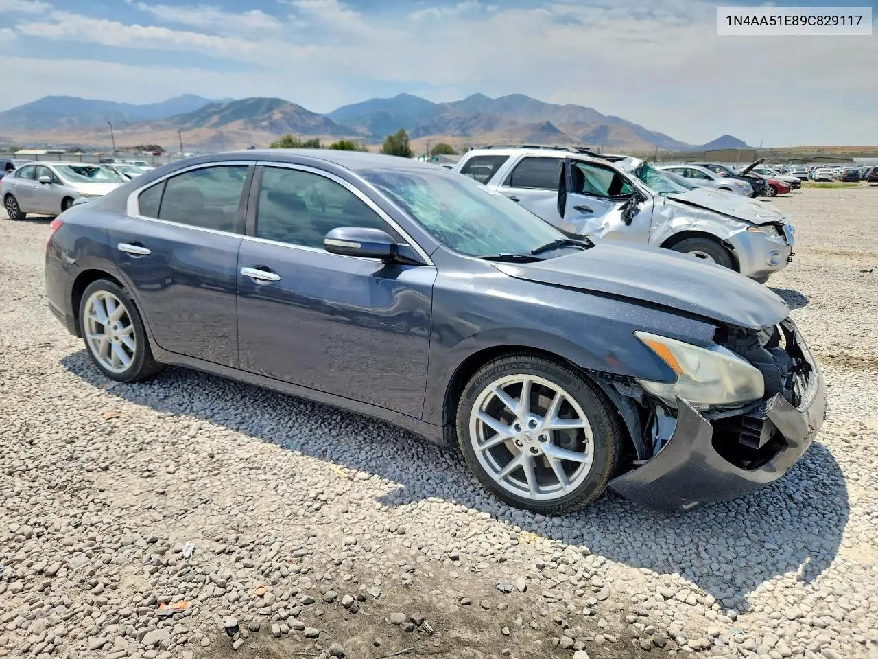 2009 Nissan Maxima 3.5 S VIN: 1N4AA51E89C829117 Lot: 60837246
