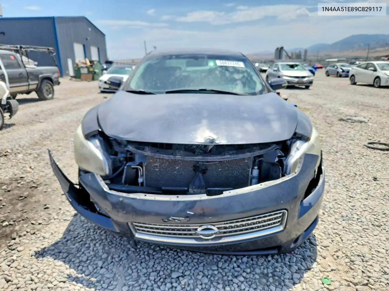 2009 Nissan Maxima 3.5 S VIN: 1N4AA51E89C829117 Lot: 60837246