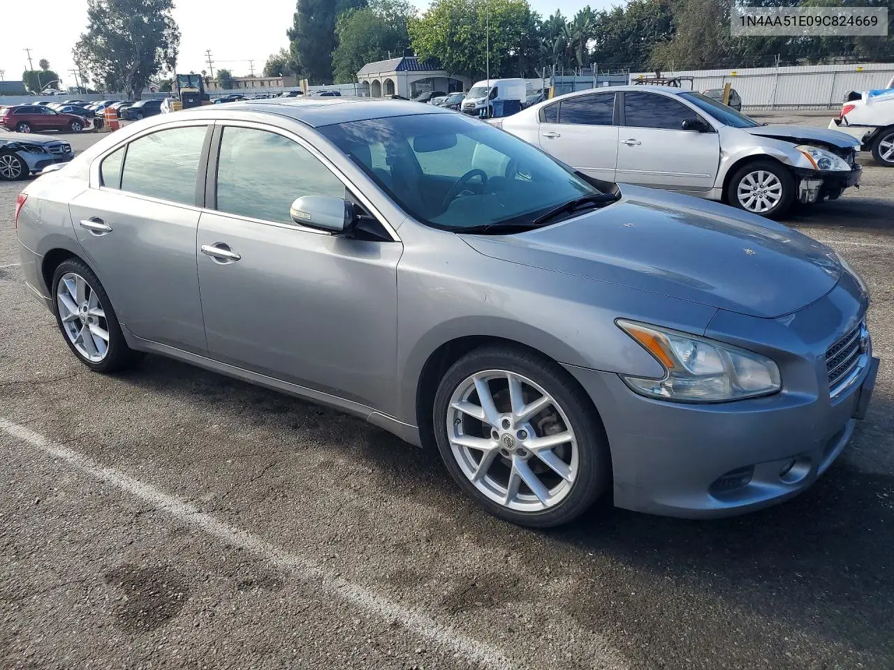 2009 Nissan Maxima 3.5 S VIN: 1N4AA51E09C824669 Lot: 61401416
