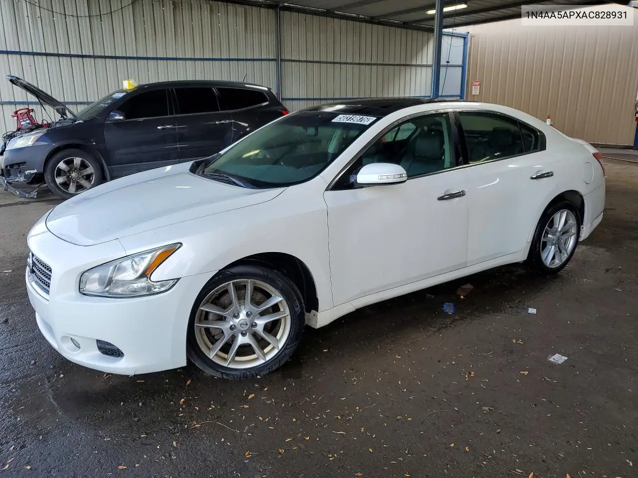 2010 Nissan Maxima 3.5 S VIN: 1N4AA5APXAC828931 Lot: 50319876