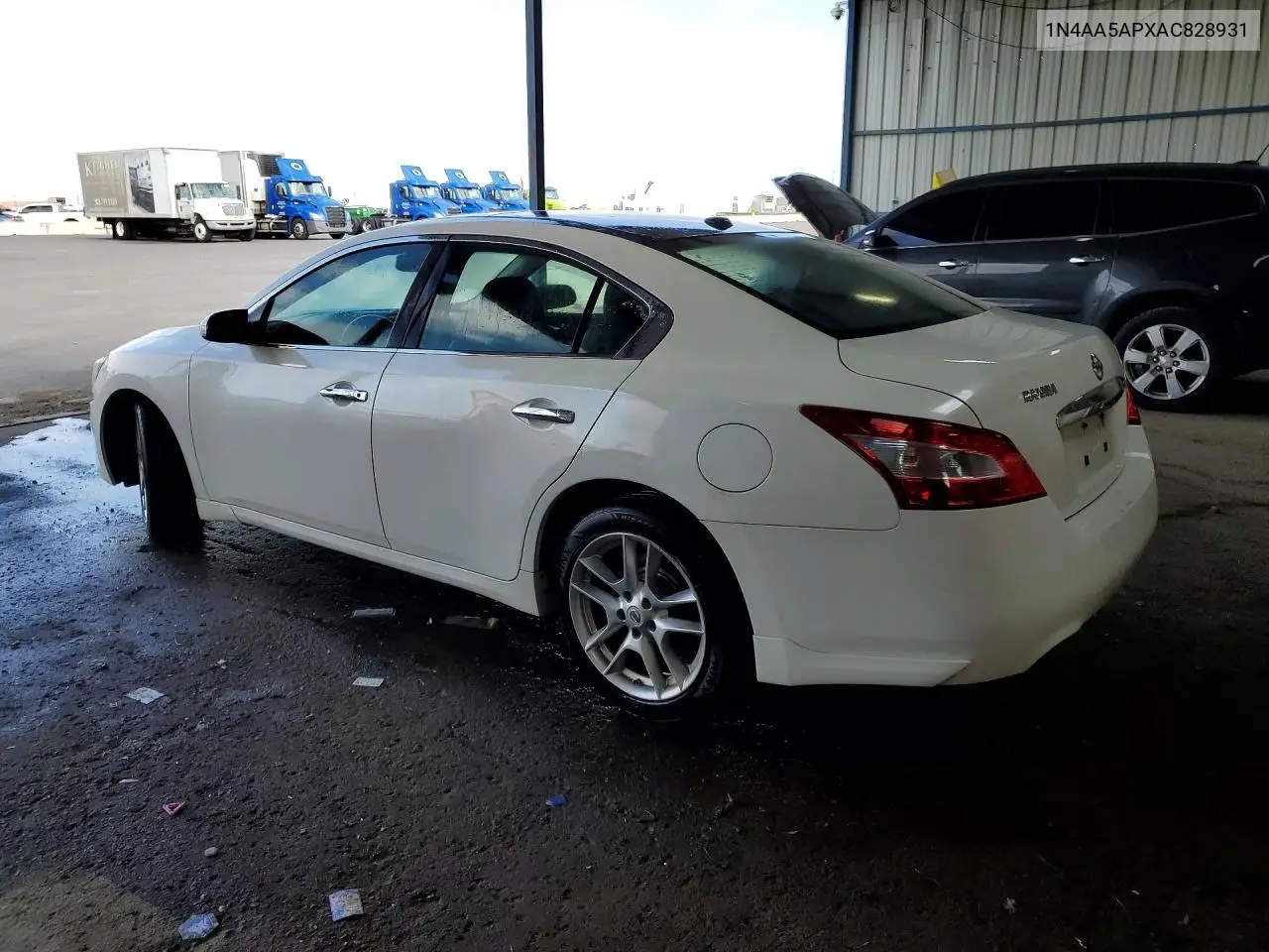 2010 Nissan Maxima 3.5 S VIN: 1N4AA5APXAC828931 Lot: 50319876
