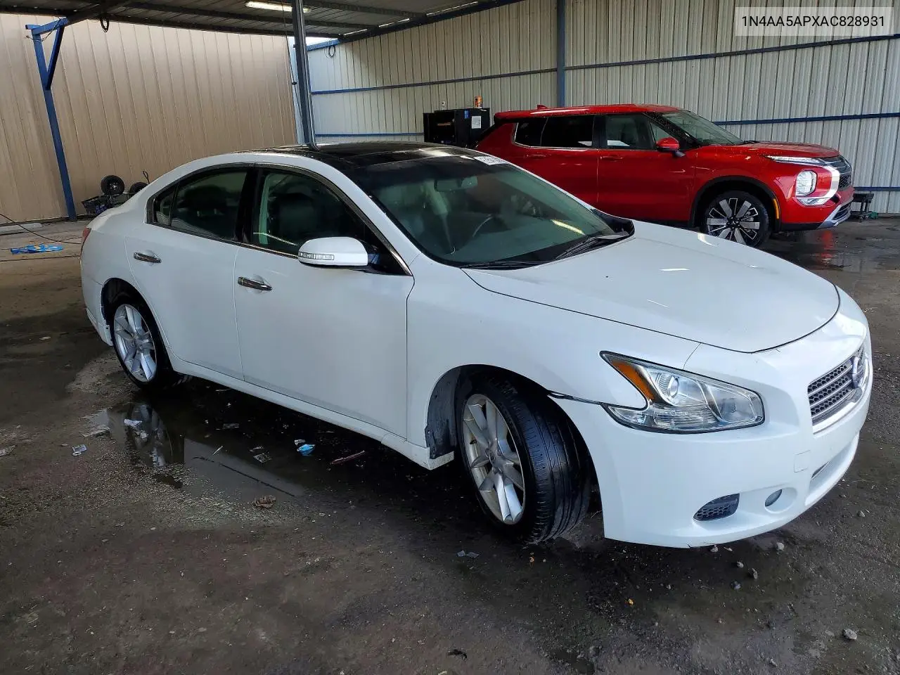 2010 Nissan Maxima 3.5 S VIN: 1N4AA5APXAC828931 Lot: 50319876