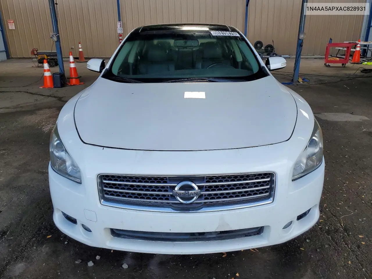2010 Nissan Maxima 3.5 S VIN: 1N4AA5APXAC828931 Lot: 50319876