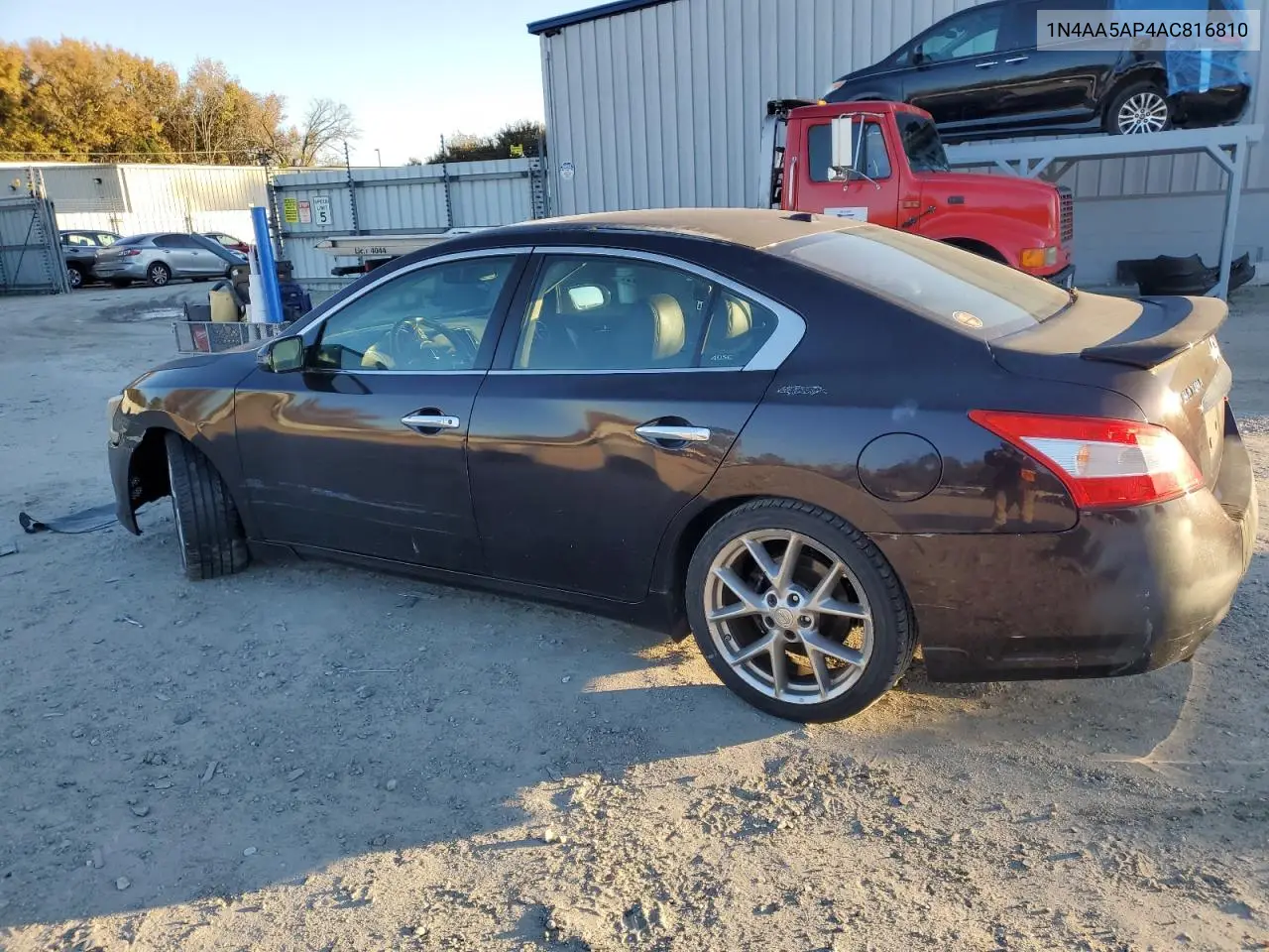 1N4AA5AP4AC816810 2010 Nissan Maxima S