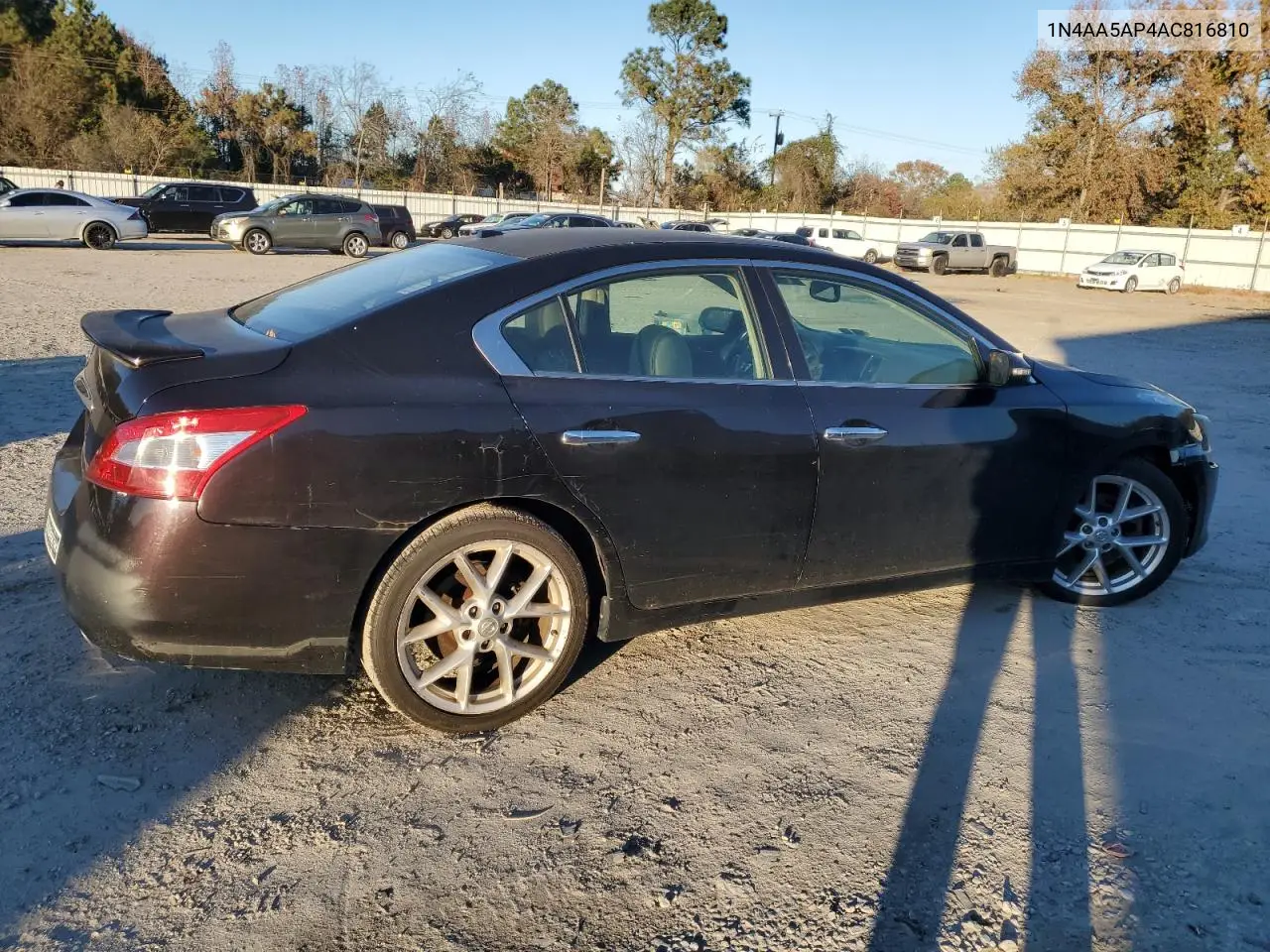 1N4AA5AP4AC816810 2010 Nissan Maxima S