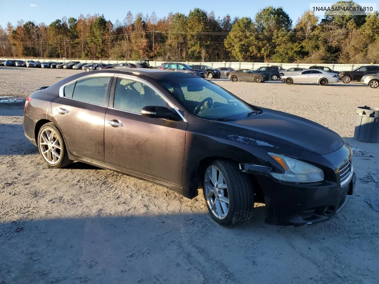 1N4AA5AP4AC816810 2010 Nissan Maxima S