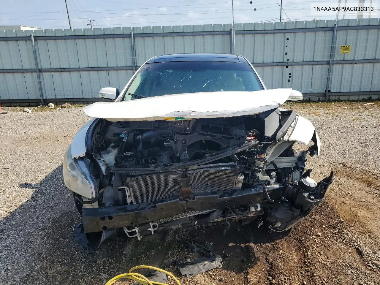 2010 Nissan Maxima 3.5 S VIN: 1N4AA5AP9AC833313 Lot: 60711666